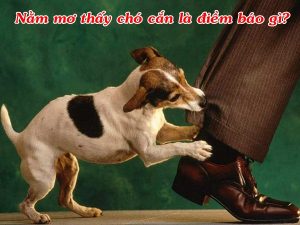 nam-mo-thay-cho-can-la-diem-bao