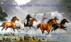 ban-menh-tuong-ung-voi-nguoi-sinh-nam-1990