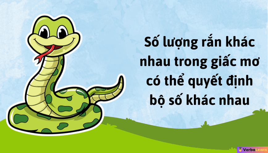 Con số theo số lượng rắn trong mơ