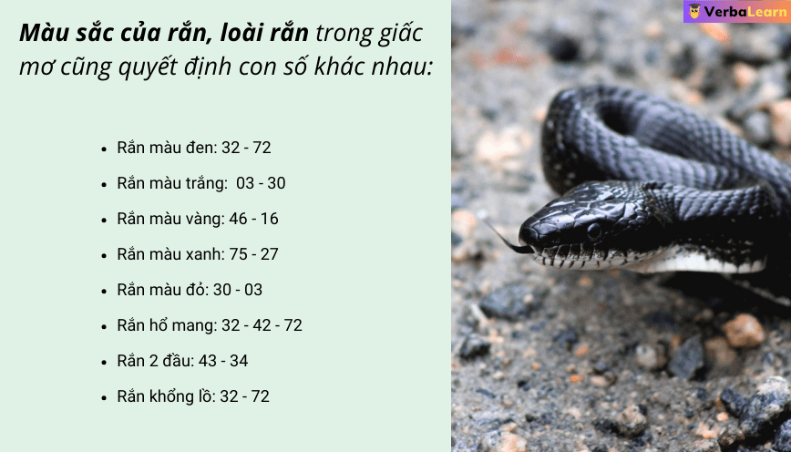 Con số theo loại rắn