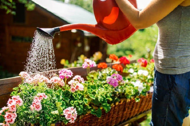 Mơ thấy tưới nước cho cây liên quan đến bộ số nào