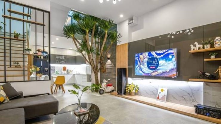 Chi tiết giấc mơ thấy cây mọc trong nhà được giải mã