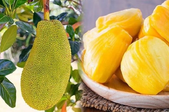 Chiêm bao thấy mình đang ăn mít chín có sao không?