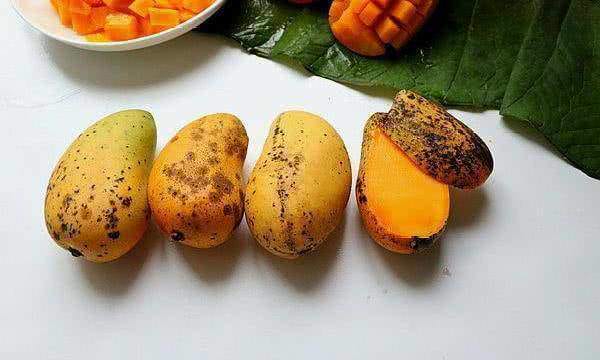 Mơ ăn xoài hỏng là lời cảnh báo bạn hãy chú ý