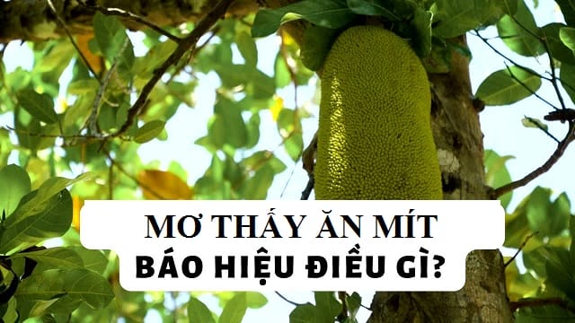 Mơ thấy ăn mít