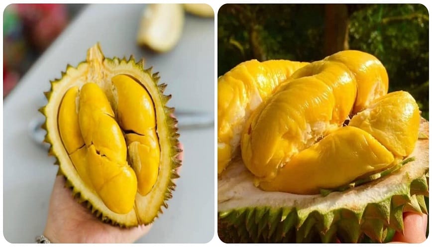 Giải Mã Giấc Mơ Thấy Ăn Sầu Riêng: Điềm Báo Và Số Đề May Mắn