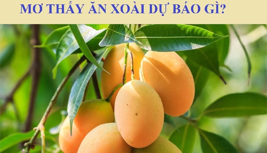 Mơ Thấy Ăn Xoài Và Những Thông Điệp Thú Vị Từ Tâm Linh