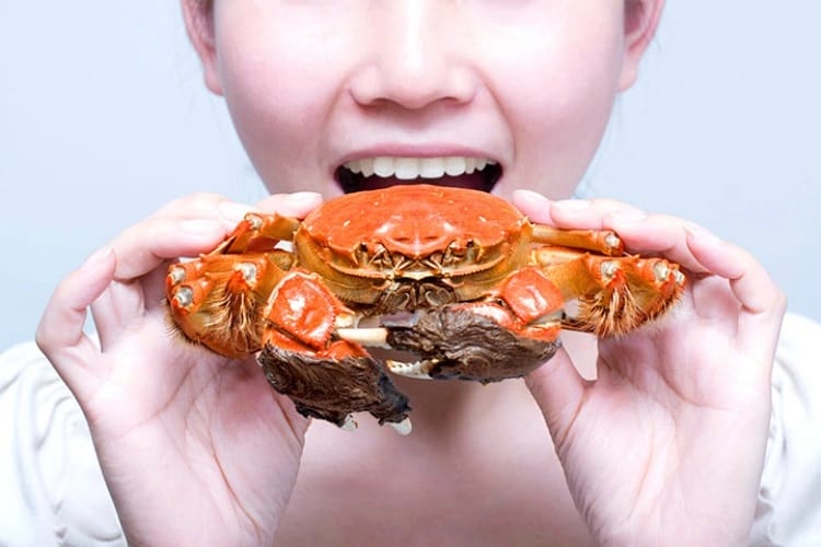 Nằm mơ thấy ăn cua bạn đã biết có thông điệp gì chưa?