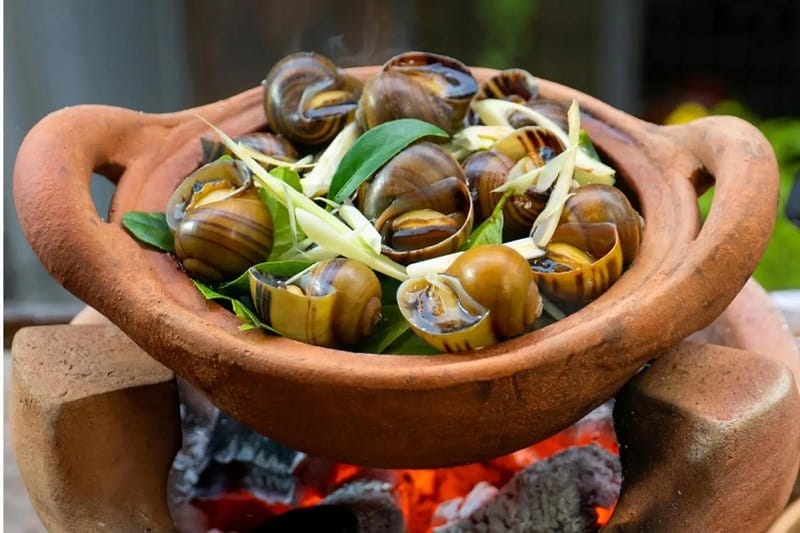 Ngủ mơ ăn ốc luộc không nước chấm cho thấy bạn đang cô đơn