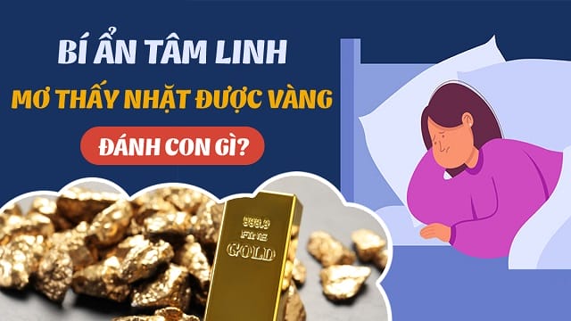 Bỏ túi sổ mơ bắt số hiệu quả về giấc mơ nhặt được vàng