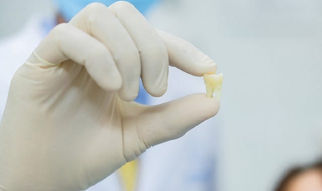 Giấc mơ là lời nhắc nhở chúng ta về hiện tại và tương lai gần