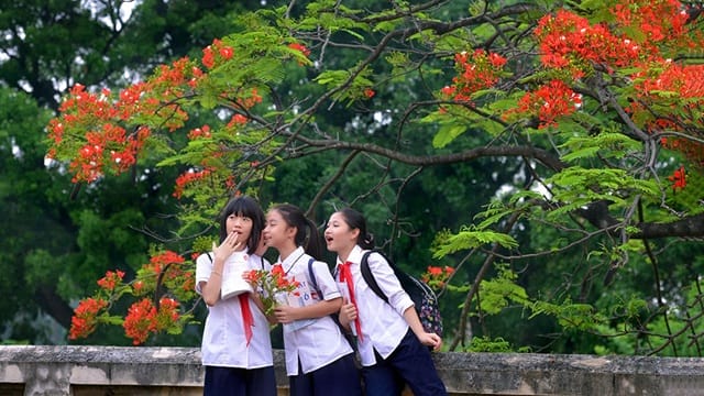 Những điều bạn cần làm khi mơ thấy bạn cũ