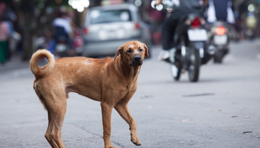 Góc nhìn phong thủy về sự dịch chuyển