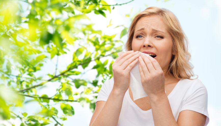 Lý giải trường hợp hắt xì liên tục thường gặp