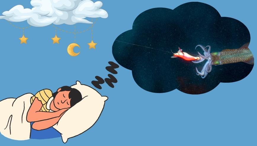 Đi bắt mực nhưng không có kết quả