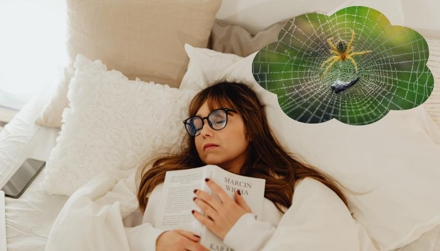 Mơ thấy nhện phản ánh cảm giác bị ràng buộc