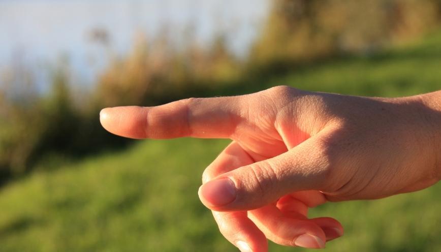 Dấu hiệu may mắn đáng chờ đợi