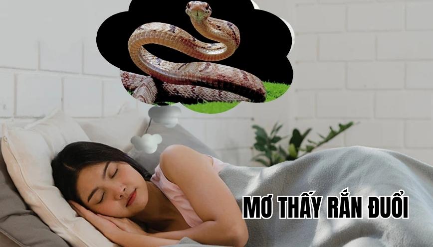 Mơ thấy rắn đuổi